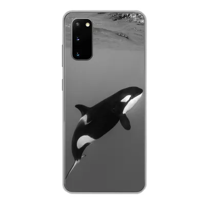 Produktbild von MuchoWow® Handyhülle Schutzhülle Hülle für Samsung Galaxy S20 Orca - Wasser - Tiere Silikon Softcase Handy Hülle - Bild