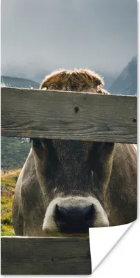 Produktbild von MuchoWow® Poster Kuh - Nebel - Zaun 20x40 cm - Plakat - Foto