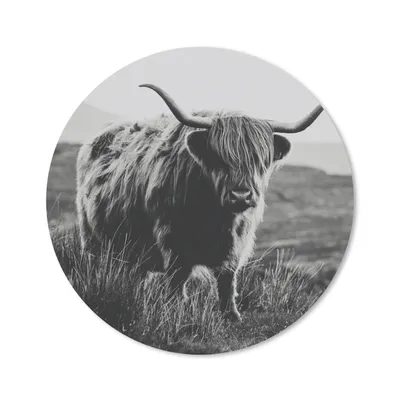 Produktbild von MuchoWow® Mauspad Mousepad Schottischer Hochlandbewohner - Natur - Kühe - Tiere - Schwarz und weiß 50x50 cm - Mousepads - Maus Mat - Pad - Mausunterlage - Vinyl