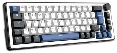 Image de Clavier mécanique gamer THE G-LAB KEYZ Elite 200 BW, AZERTY TKL, RGB, PBT double injection, Bleu