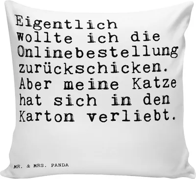 Produktbild von Mr. & Mrs. Panda Kissen 40x40 Eigentlich wollte ich die... - Weiß - Geschenk, Haus, Deko, Polster, Kuschelkissen, Sofakissen, Kater, zier, Katze, Dekokissen Sofa, Zitate