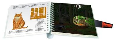 Produktbild von Tief im Wald: Licht an! (Licht an! Die Reihe mit der magischen Taschenlampe, Band 4)