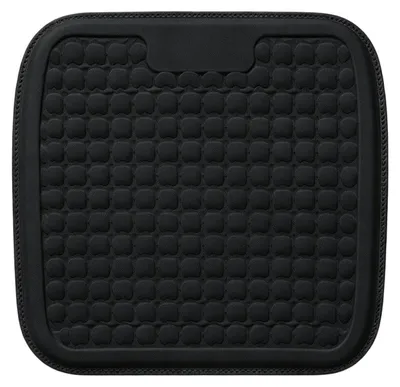 Imagen del producto de Cojín para asiento de coche Ademend con gel para refrigeración