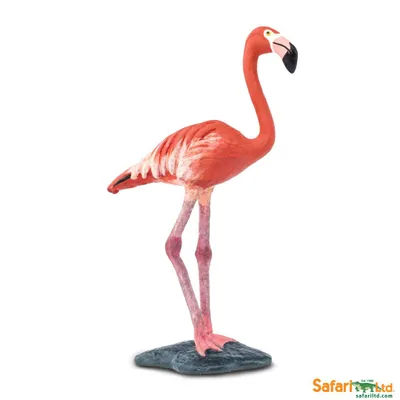 Produktbild von Safari Ltd Flamingofigur Orange From 3 Years Kinder Orange From 3 Years