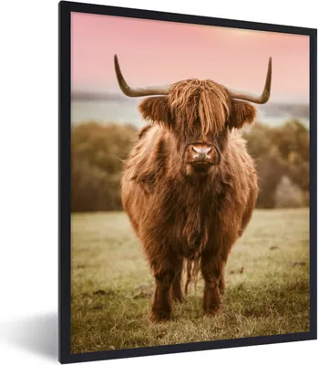 Produktbild von MuchoWow® Gerahmtes Poster Schottischer Highlander - Kuh - Horizont 60x80 cm - Poster mit Schwarzem Bilderrahmen Wandposter Rahmen Foto Bilder - Premium - Wanddeko Wohnzimmer