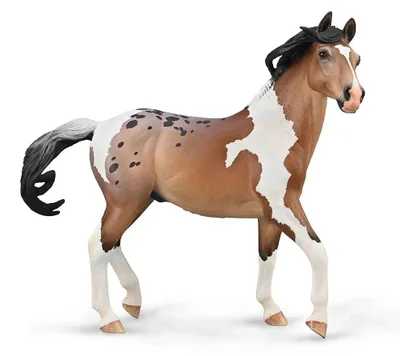 Zdjęcie produktu dla Collecta Mustang Bay Pintoloosa - ogier, kolor brązowy.
Kinder Braun - brązowy, jeden rozmiar