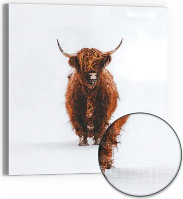 Produktbild von DEQOART Hybrid Leinwand Bild 30x30 cm 'Wildes Hochland' Wandbild Glas flach modern