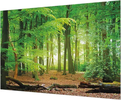 Produktbild von Wandtapete - Dekorative Tapete für Wohnzimmer - Tapetenfolie für Wanddekoration - 208x146 cm - Grüner Wald
