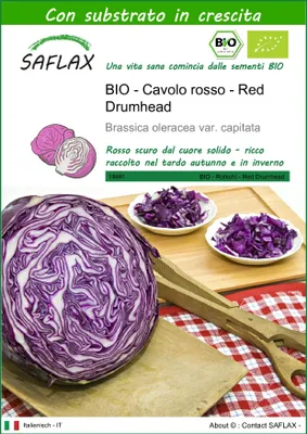 Immagine prodotto di SAFLAX  -- Cavolo rosso - Red Drumhead - 250 semi - Con substrato - Brassica