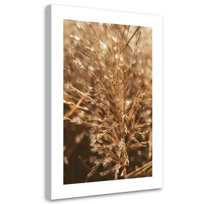 Produktbild von Leinwandbild Beiges Gras 60x90 Feeby Beige bild für die wand bereit zum aufhängen