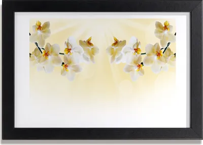 Produktbild von Bild 30x20 MDF-Rahmen, Wandkunst Orchidee