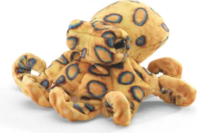 Produktbild von Folkmanis Mini blaugeringelte Krake