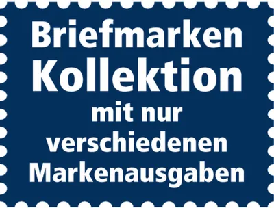 Produktbild von 50 Kakteen
