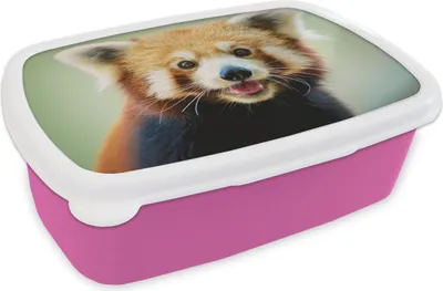 Produktbild von KitchenYeah® Lunchbox Brotzeit Brotdose 17x11 cm Roter Panda - Orange - Schwarz Kinder Brotzeitdose - Lunchpaket - Brotkasten  - Sandwich Box