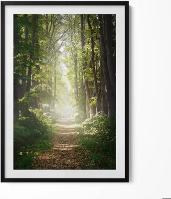 Produktbild von Waldweg zwischen den Bäumen– Wandbild mit Rahmen – Gerahmtes Bild  – Wanddekoration – 70x100 cm –  Schwarz Rahmen