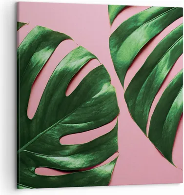 Produktbild von Bild auf Leinwand - Leinwandbild - Einteilig - Monstera Blatt Rosa - 50x50cm - Wand Bild - Wanddeko - Wandbilder - Leinwanddruck - Bilder - Wanddekoration - Leinwand bilder - Wandbild - AC50x50-4407