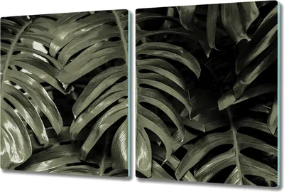 Produktbild von Glas Schneidebrett Herdabdeckplatten Schneideplatten - 2x 40x52 cm - Blatt Tropische