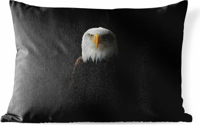 Produktbild von MuchoWow® Outdoor Kissen - Ein Porträt eines Weißkopfseeadlers - 50x30 cm - Wetterfest - Lounge Kissen - Sofa kissen - Wohnzimmer Dekoration