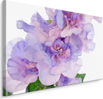 Produktbild von Fabelhafte Canvas LEINWAND BILDER 120x80 cm XXL Kunstdruck Pfingstrosen Blumen Natur