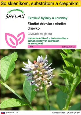 Obrázok produktu pre SAFLAX Kultivačný set - Sladké drievko / sladké drievko - Glycyrrhiza glabra - 30 Semená - S mini skleníkom, pestovateľským substrátom a 2 črepníkmi