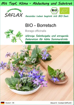 Produktbild von SAFLAX Garden to go - BIO - Borretsch - Borago officinalis - 40 Samen - Mit Topf, Klima - Deckel und Anzuchtsubstrat