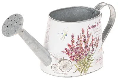 Produktbild von Dekorative Gießkanne mit Lavendelmotiv aus Metall für Vintage- und Garten-Dekoration