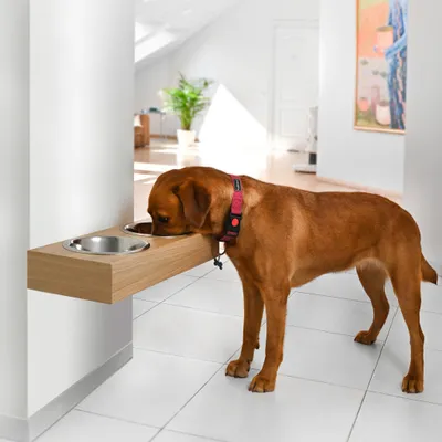 Produktbild von Erhöhter Futterständer aus Holz mit zwei Näpfen für große Hunde, Eiche, Größe L