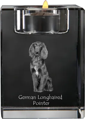 Produktbild von Deutsch Kurzhaar, Deutscher Kurzhaariger Vorstehhund - Kerzenhalter mit Hundefoto, Teelichthalter aus Kristall, personalisiertes Geschenk der Marke Art-Dog