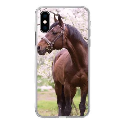 Produktbild von MuchoWow® Handyhülle Schutzhülle Hülle für iPhone X Pferd - Sakura - Halfter Silikon Softcase Handy Hülle - Handyhülle