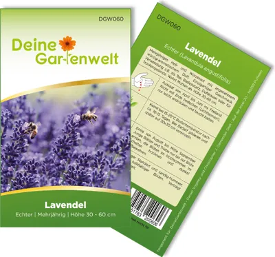 Lavendel Echter Samen - Lavandula angustifolia - Lavendelsamen - Kräutersamen - Saatgut für 50 Pflanzen