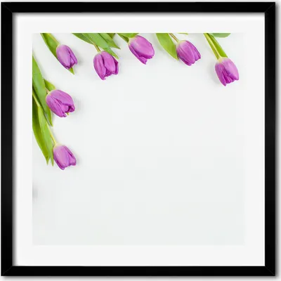 Produktbild von Bild - 50 cm x 50 cm - MDF - Rahmen, Wandkunst - Lila Tulpen