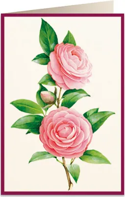 Image de Carnet B6 avec pochette Kamelia 2 5817