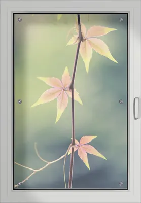 Produktbild von Wallario Lichtschutzbild, Dekorativer Sichtschutz Sonnenschutz 60 x 93 cm mit Motiv: Herbstblume - Verdunklung ohne Bohren