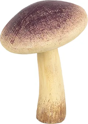 Obrázok produktu pre Clayre & Eef dekorácia Huby Ø 9x12 cm béžová fialová Polyresin