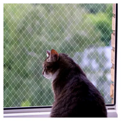 Produktbild von Nylon Katzenschutznetz für Balkon ohne Bohren, transparent, zuschneidbar und bissfest (3x4 m)
