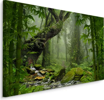 Produktbild von Fabelhafte Canvas LEINWAND BILDER 90x60 cm XXL Kunstdruck Natur Wald Dschungel Bach