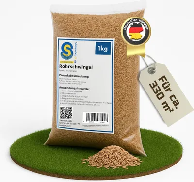 Produktbild von Bestellartikel Rohrschwingel festuca arundinacea, Inhalt: 1kg, widerstandsfähig gegen Dürre und Hitze