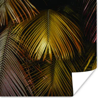 Produktbild von MuchoWow® Poster Dschungel - Palme - Gold 100x100 cm - Babyzimmer