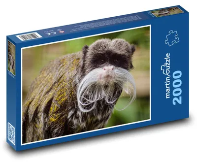 Obrázok produktu pre martinpuzzle - Puzzle 2000 - Opice - tamarín