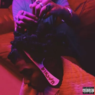 Zdjęcie produktu dla Smino - Blkswn (2 LP)