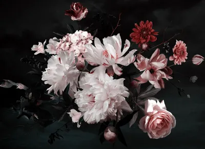 Produktbild von Rosa Fototapete floral | Vlies Fototapete Blumen schwarzer Hintergrund für Schlafzimmer und Wohnzimmer | Romantische Blu