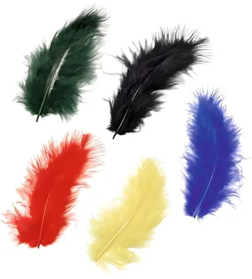 Produktbild von KNORR PRANDELL Marabufedern ca. 10 cm gelb rot blau grün schwarz