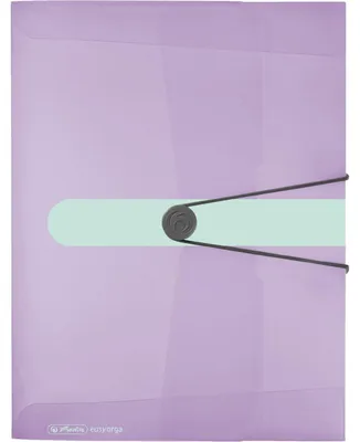 Immagine prodotto di herlitz Sammelbox easy orga to go Pastell, DIN A4, flieder-