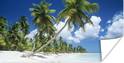 Produktbild von MuchoWow® Poster Strand - Palme - Tropisch 40x20 cm - Poster für die Wand - Poster Schlafzimmer