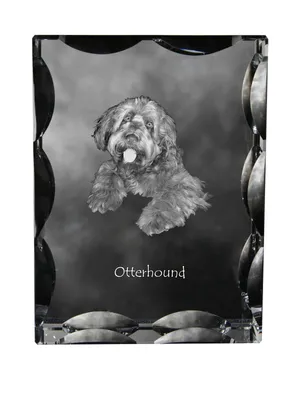 Obrázok produktu pre Art-Dog Fotorámik – Otterhound