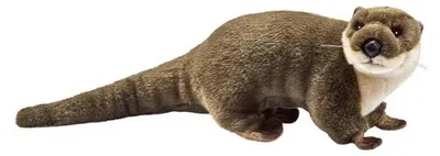 Produktbild von Anima Plüschtier Otter Plüschwindel 25 cm