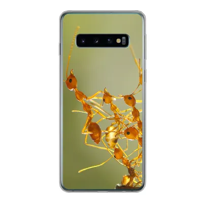 Produktbild von MuchoWow® Handyhülle Schutzhülle Hülle für Samsung Galaxy S10 Ameisen - Orange - Tiere Silikon Softcase Handy Hülle - Handytasche