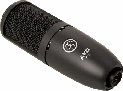 A black condenser microphone is shown against a white background.