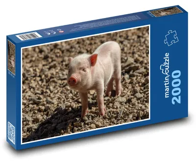 Zdjęcie produktu dla Puzzle 2000 Małe urocze prosiątko - martinpuzzle