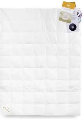 Produktbild von Bettdecke GÄNSEDAUNEN 70% 220x200 Basic Plus 2000g PREMIUM weiß